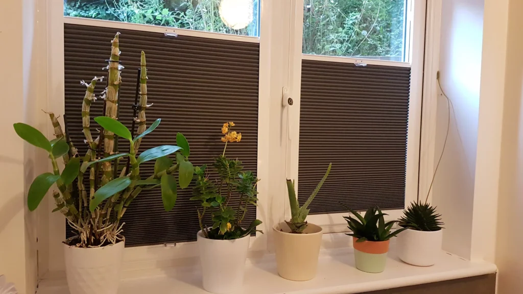 Perfectblindsuk.co.uk - Perfect Fit Frames